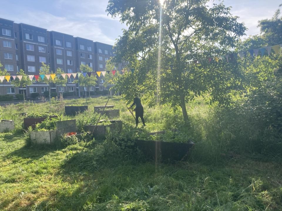 Naturnahes Gärtner-Gärtner für smarte Faule