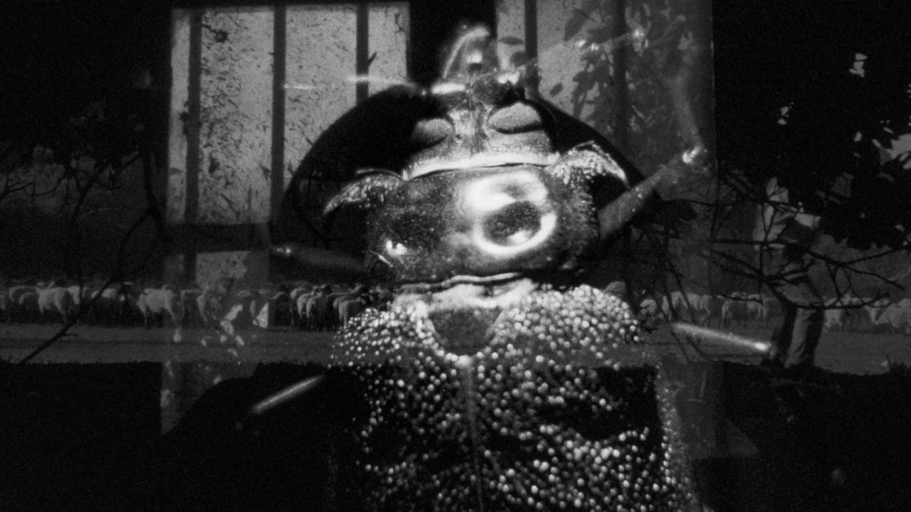 Archival Feelings x Videoclub