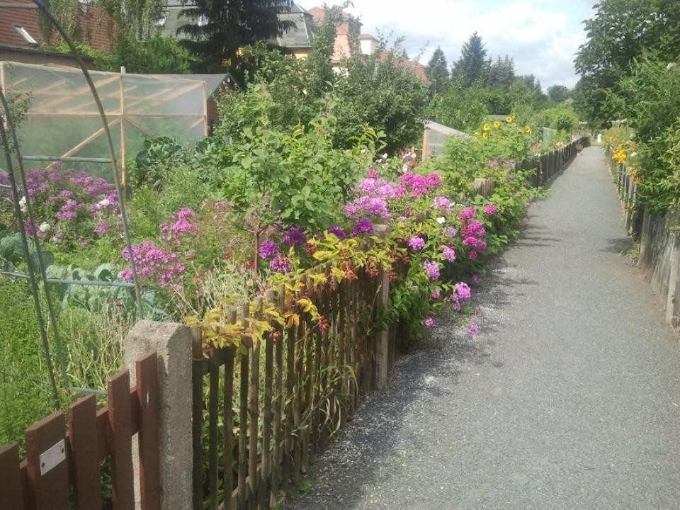 Gartenworkshop Lieblingspflanzen leicht vermehren