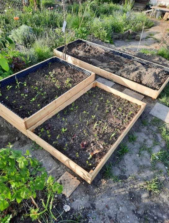 Willkommen in der Beetplanung
