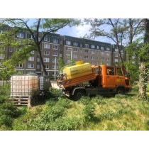 Schwammstadt und Schwammgarten