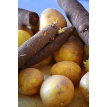 Gartenzeit: Historische Gemüsesorten