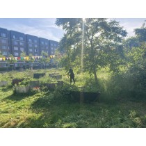 Naturnahes Gärtner-Gärtner für smarte Faule