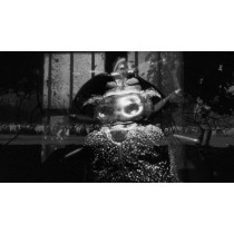 Archival Feelings x Videoclub