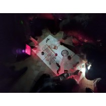 Die Magie des Zufalls: Fotografische Experimente mit Pflanzen - analog und digital