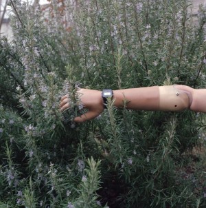 Das fotografische Porträt als konzeptionelle Serie mit Hilde Pank
