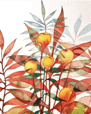 botanische Illustration