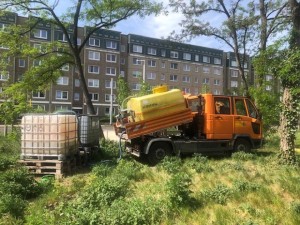 Schwammstadt und Schwammgarten
