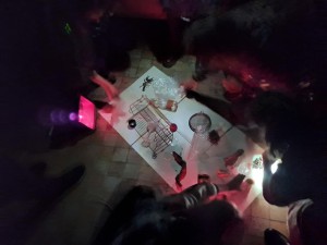 Die Magie des Zufalls: Fotografische Experimente mit Pflanzen - analog und digital